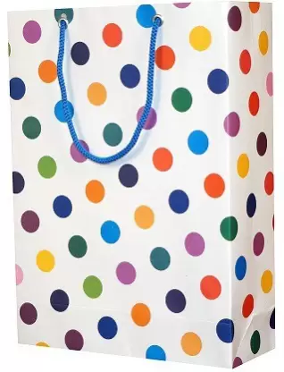 Paper Bag   5